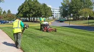 Landscape Contractors Las Vegas