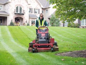 Lawn Care Service Las Vegas